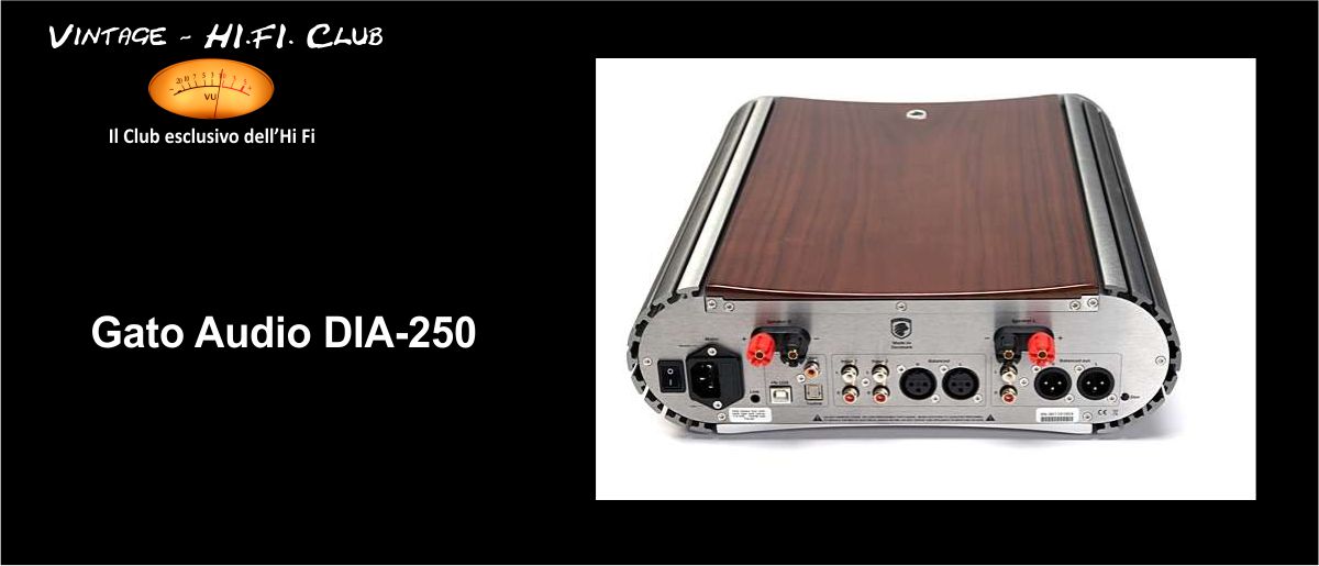 foto 1200pix gato audio 2