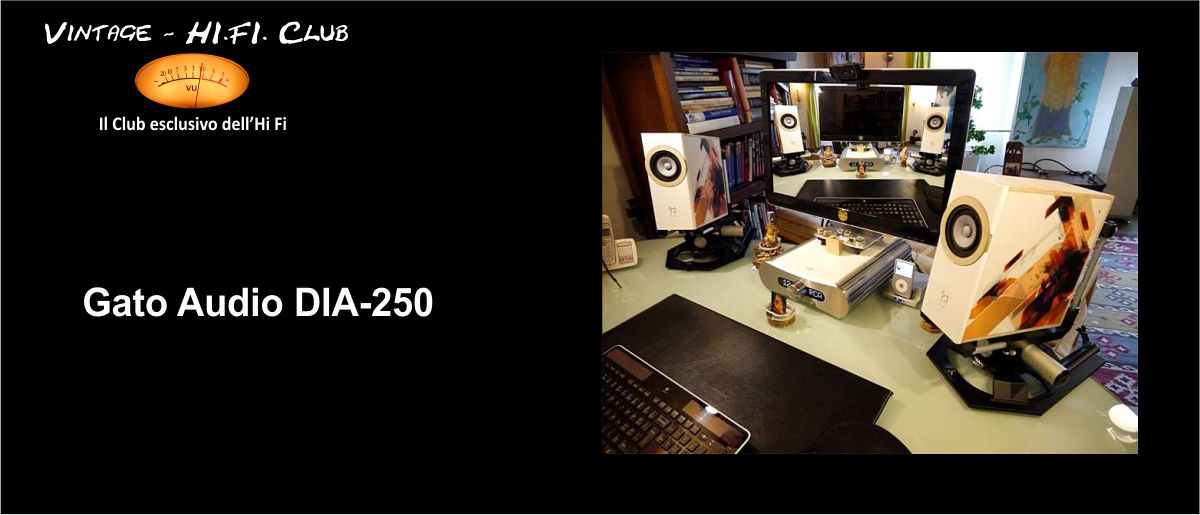 foto 1200pix gato audio 3